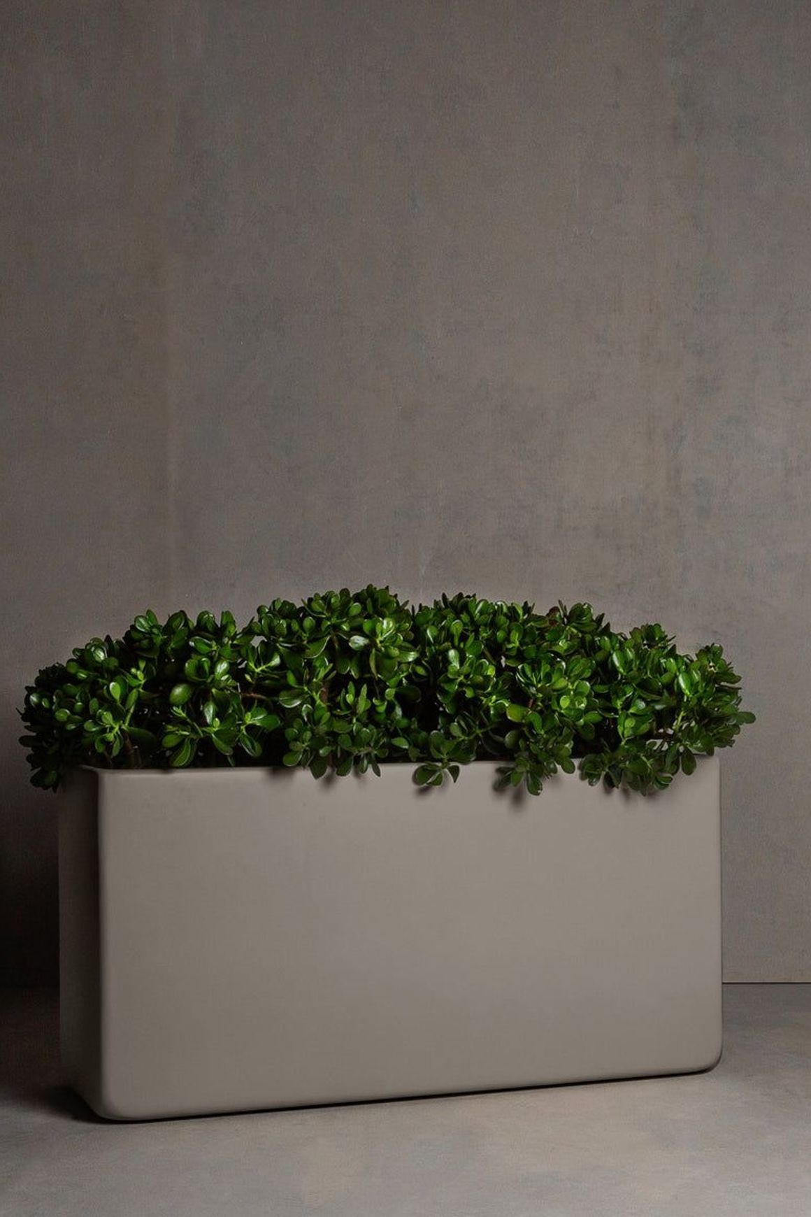Hibernate Low Line Planters | Clay