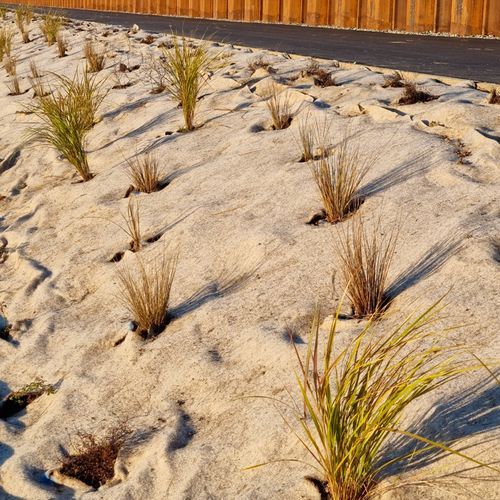 FuturFiber® Hemp 1000gsm