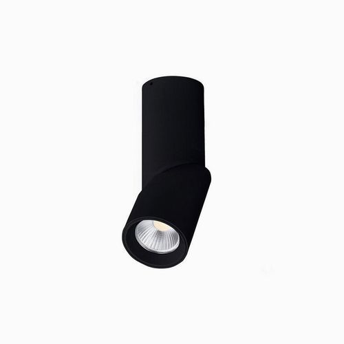 Fenno Surface Mount Light