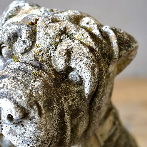 Cast Stone Dog Statues (Pair)