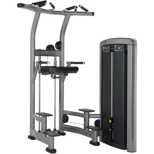 Insignia | Assist Dip Chin