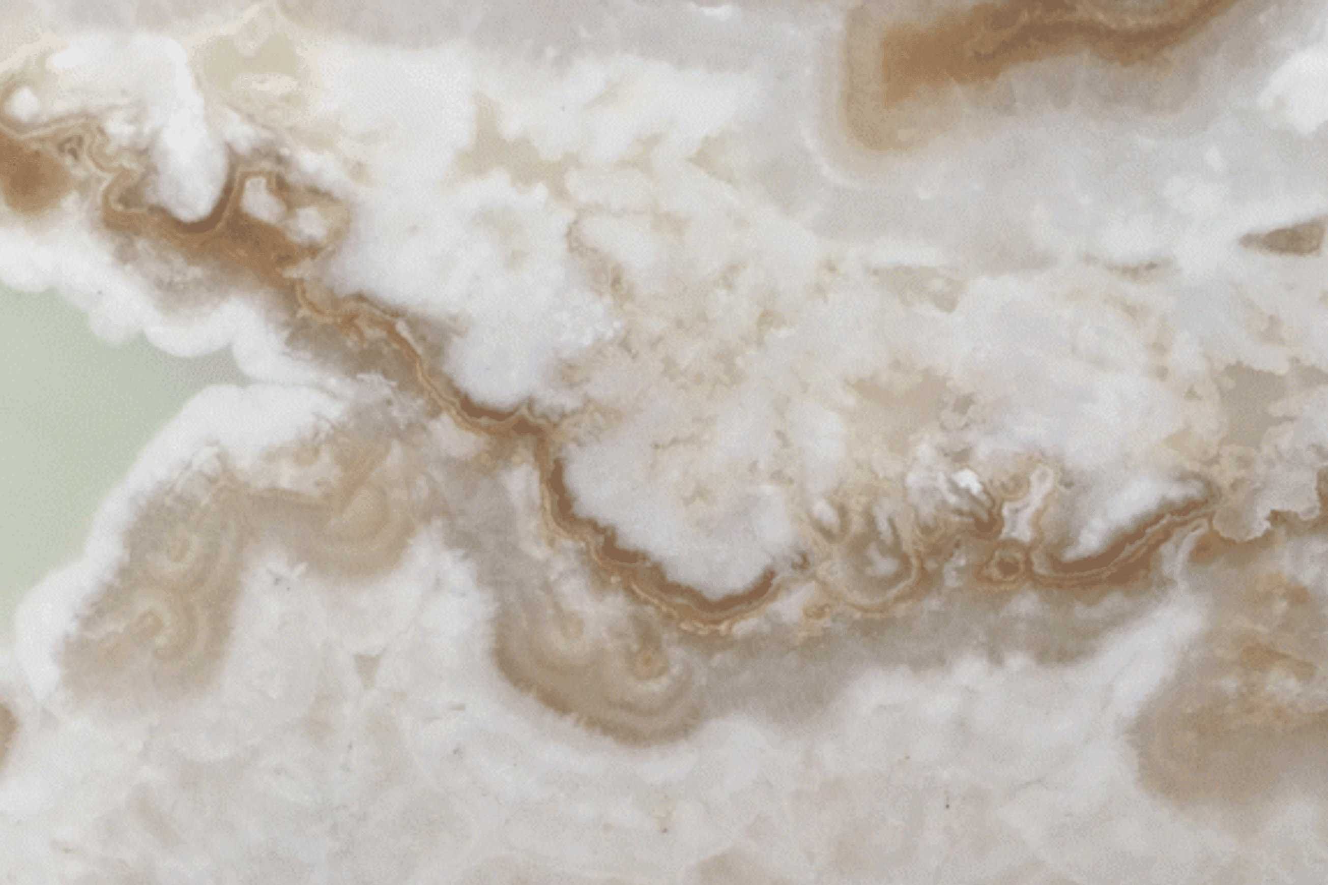 Ivory Onyx