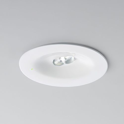 K9 Self Testing Emergency Light