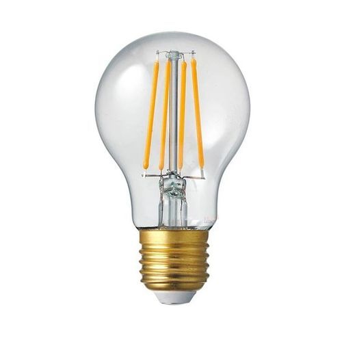 LED Filament Bulb A60
