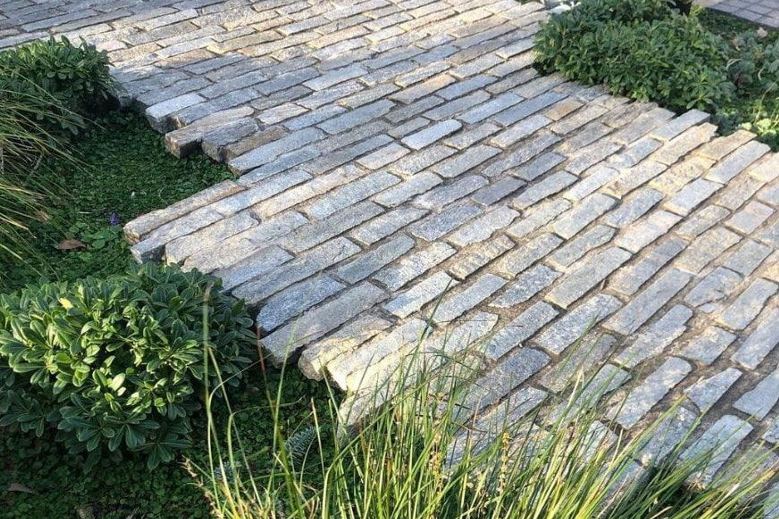 Loden Quartzite Filetti