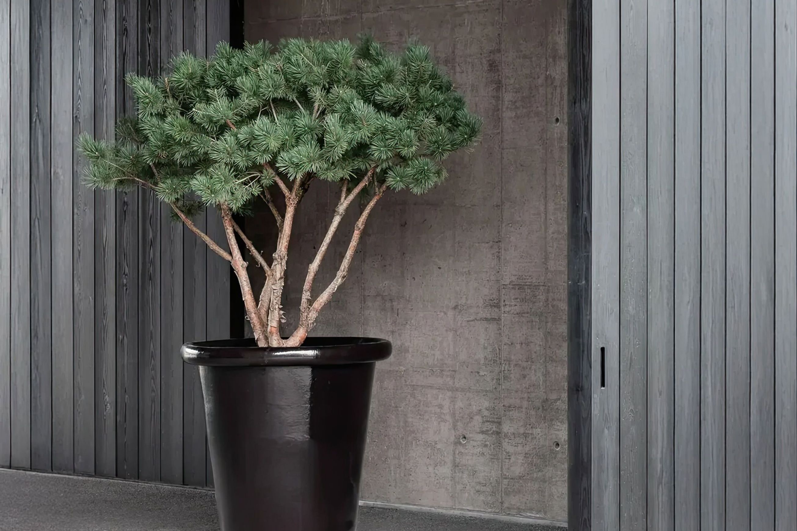 London Planter