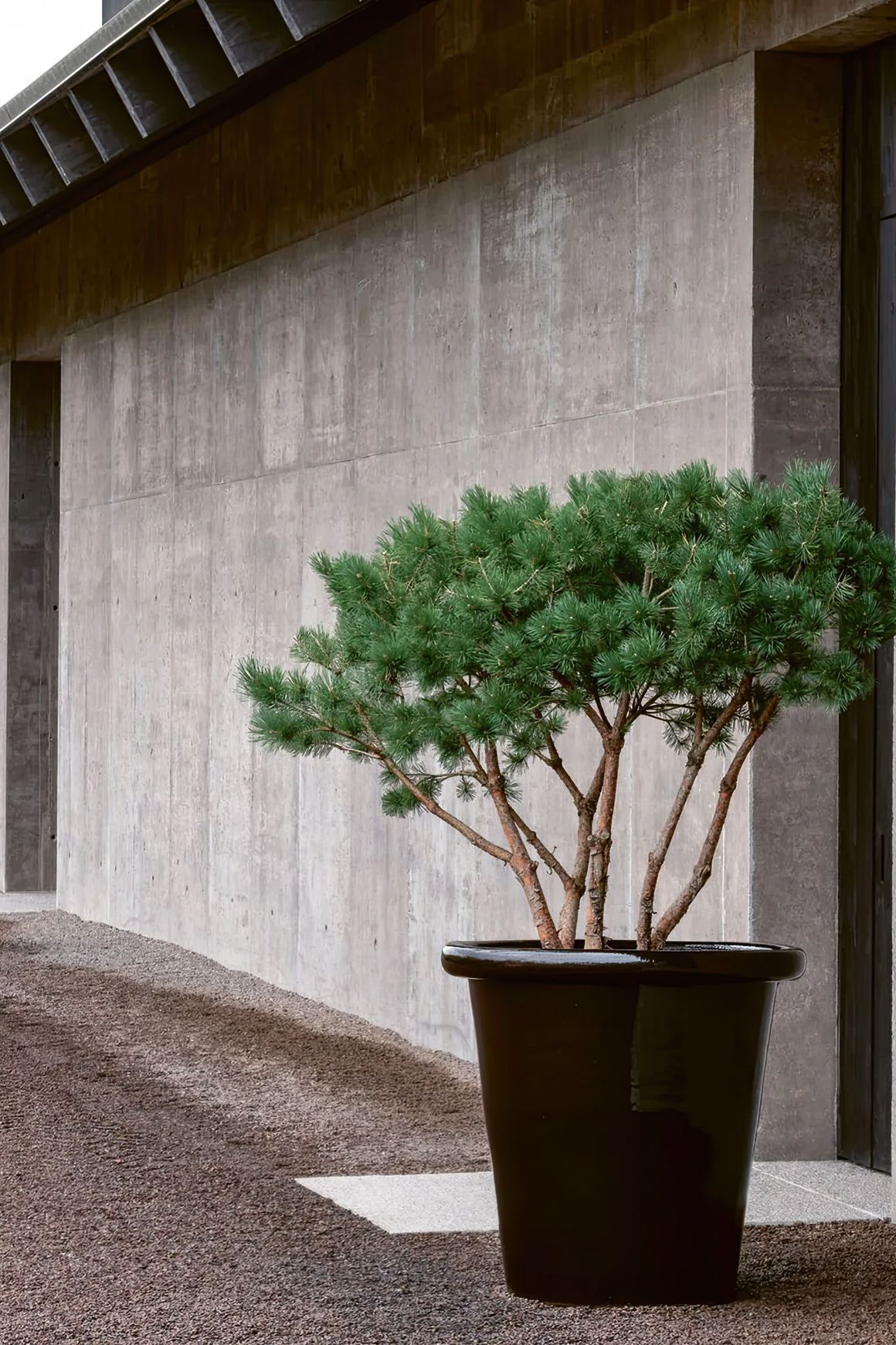 London Planter
