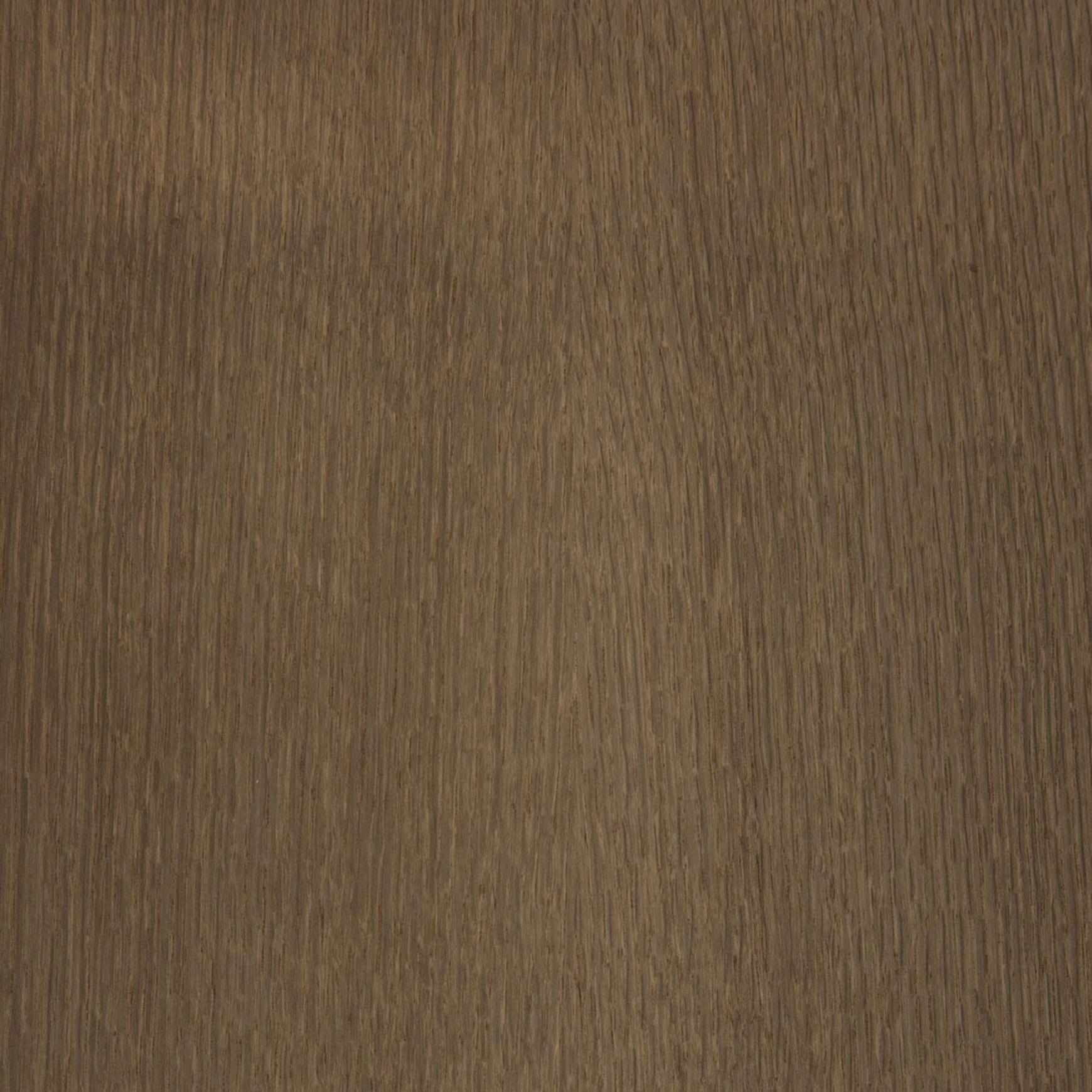 Rindle Gum | Stained | Lignapal Panels
