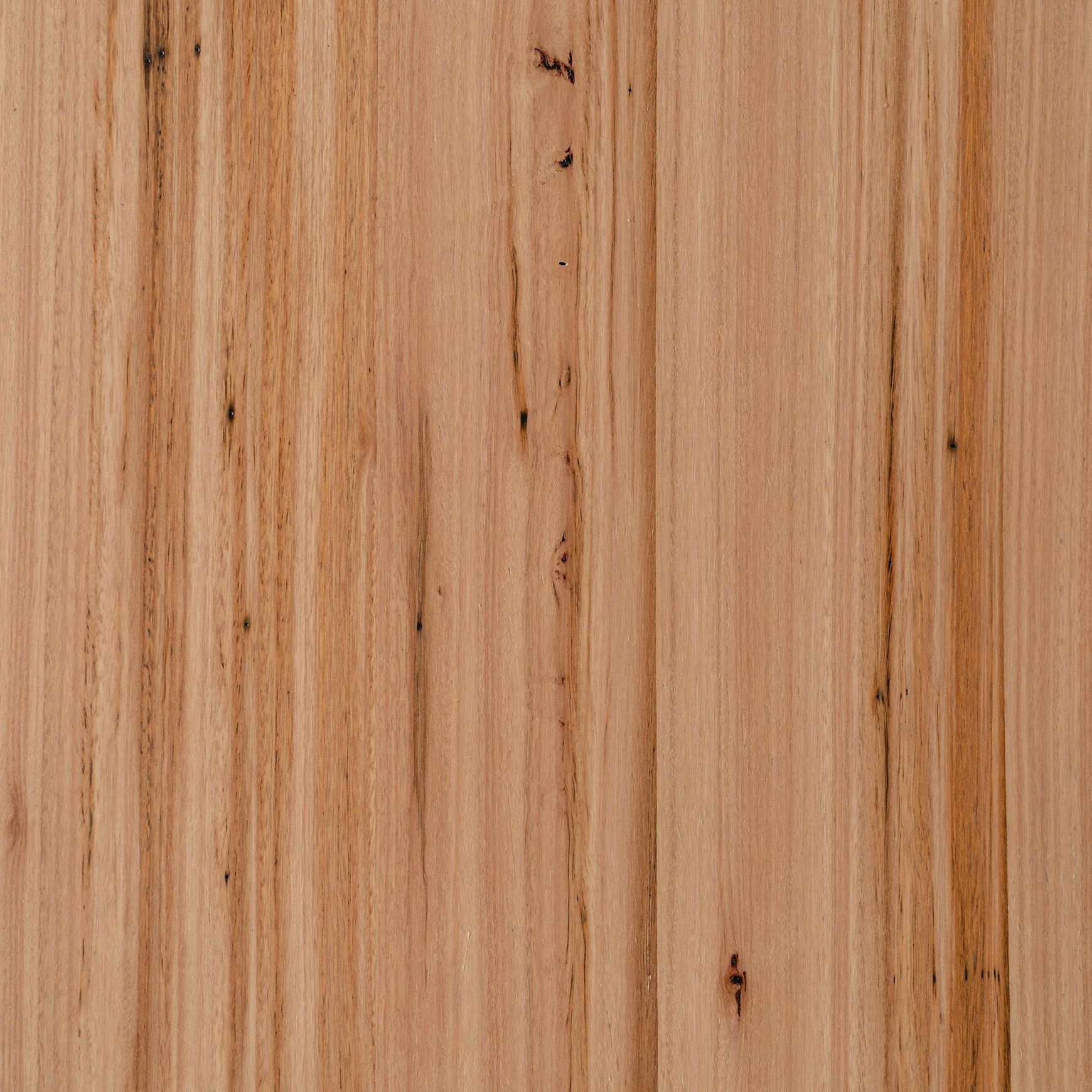 Blackbutt High Feature | Clear | Lignapal Panels