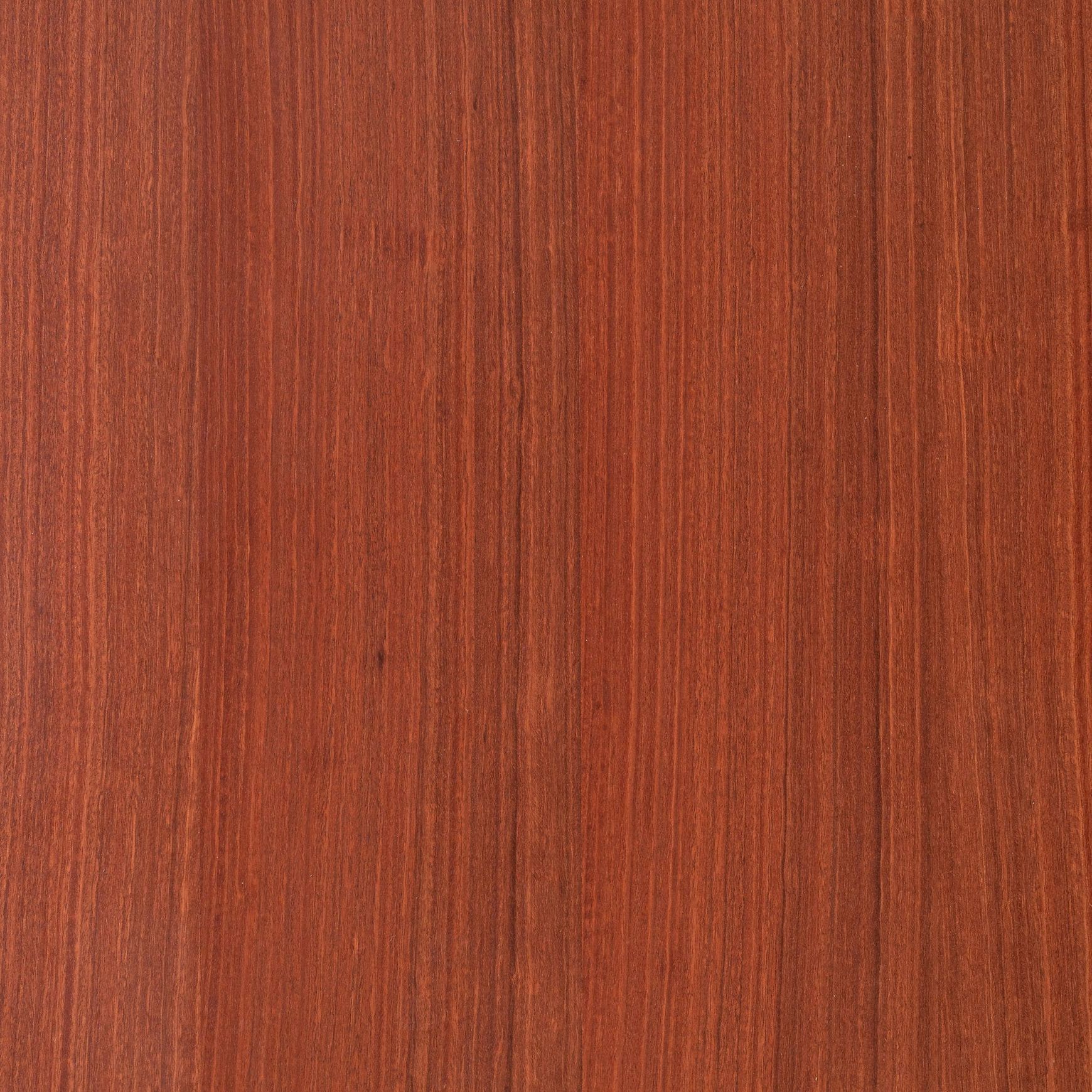 Red Gum | Clear | Lignapal Panels