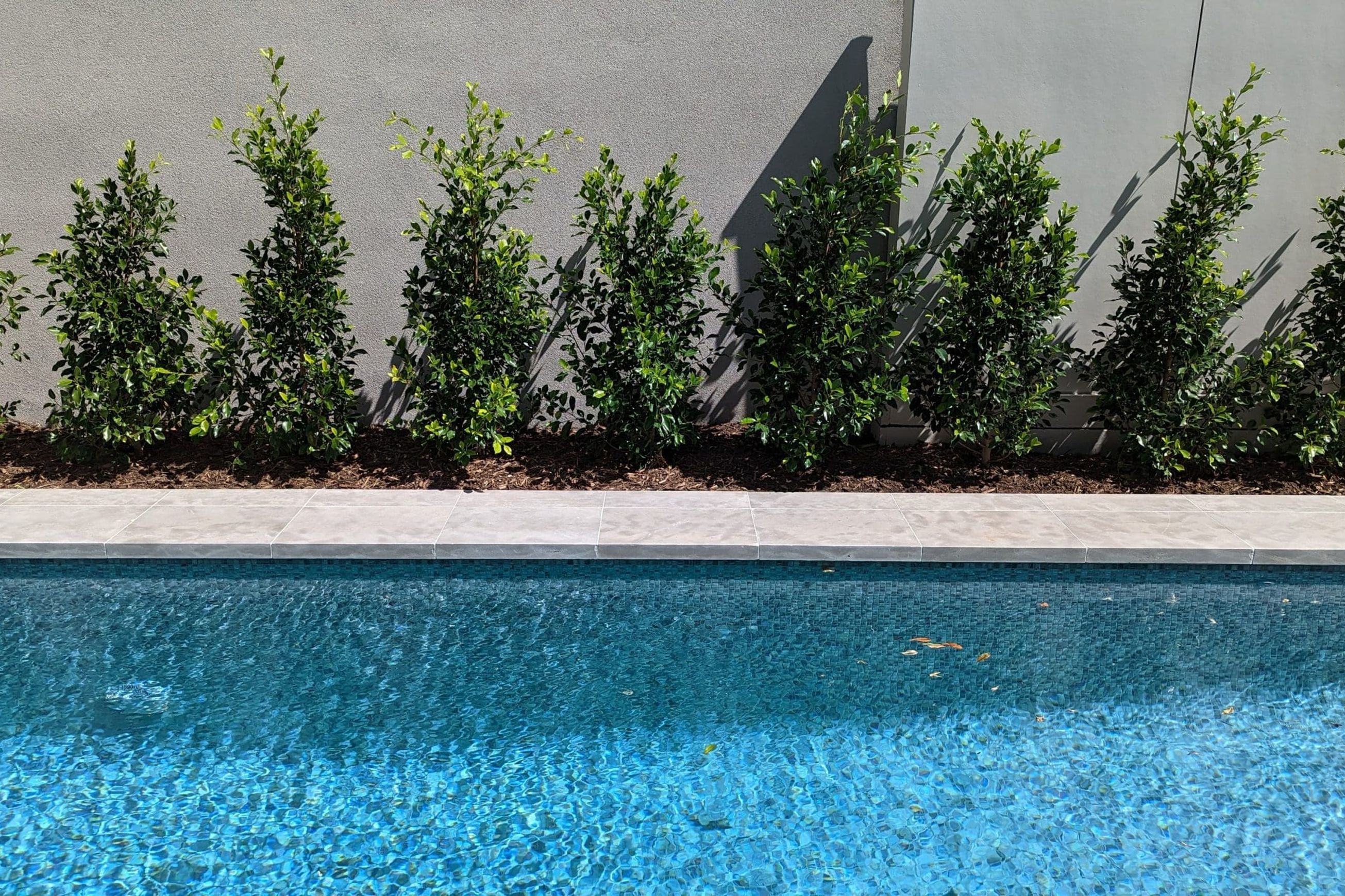 Maddison Tumbled Limestone Pool Coping