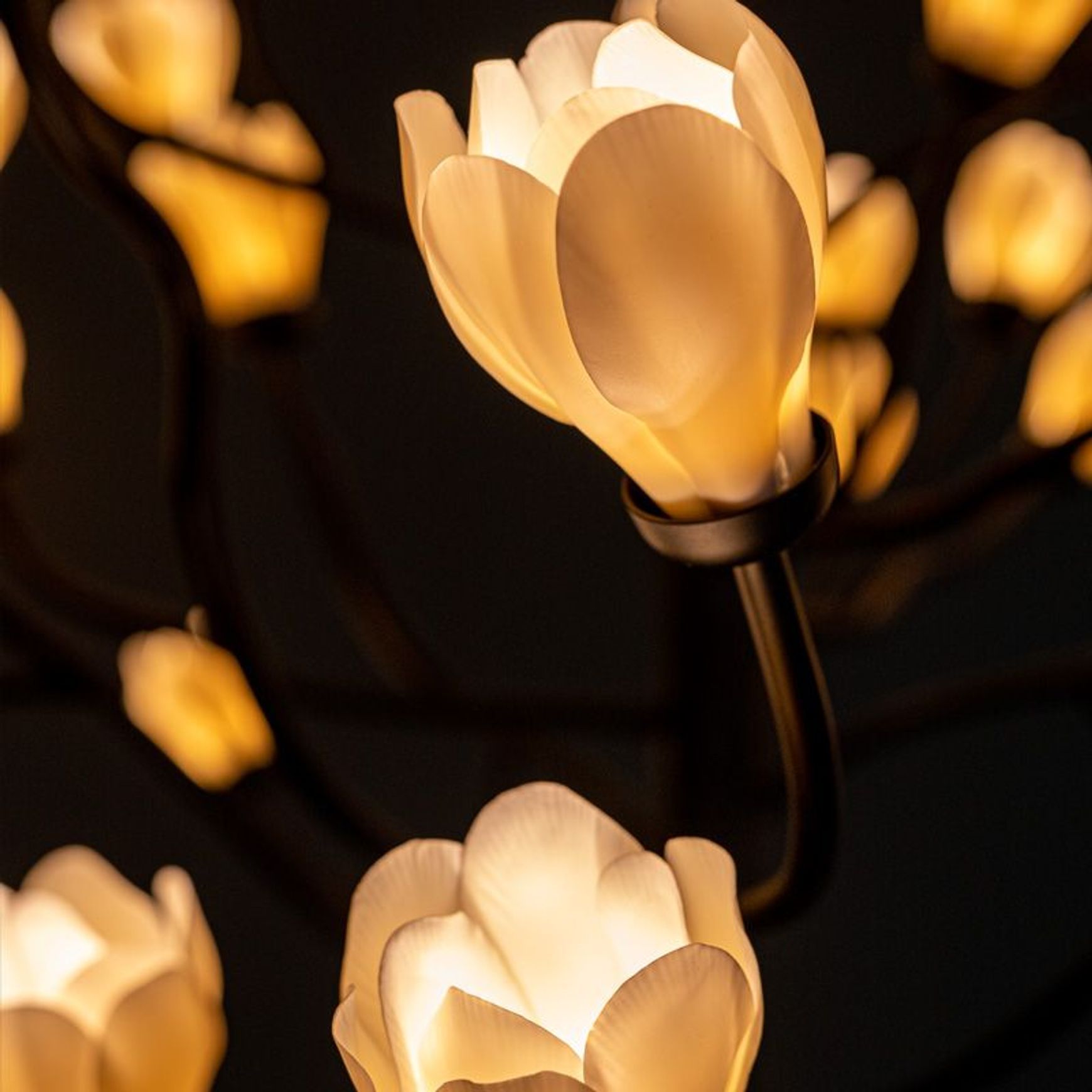 Mokuren Chandelier