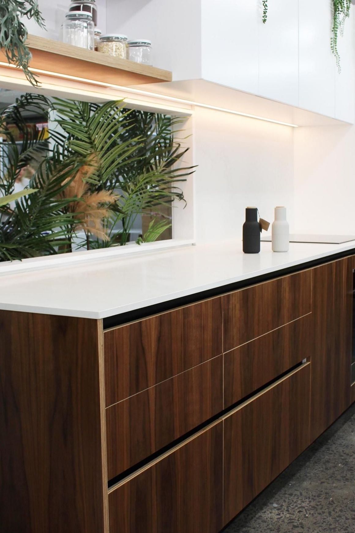 Birch Décor Walnut | Panels - Plytech Panels