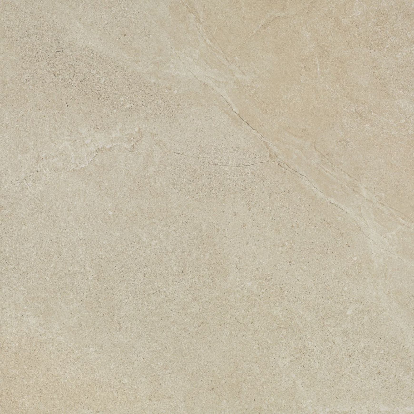 Gecko | Magic Stone Sand Tiles