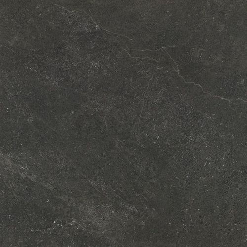 Gecko | Magic Stone Charcoal Tiles