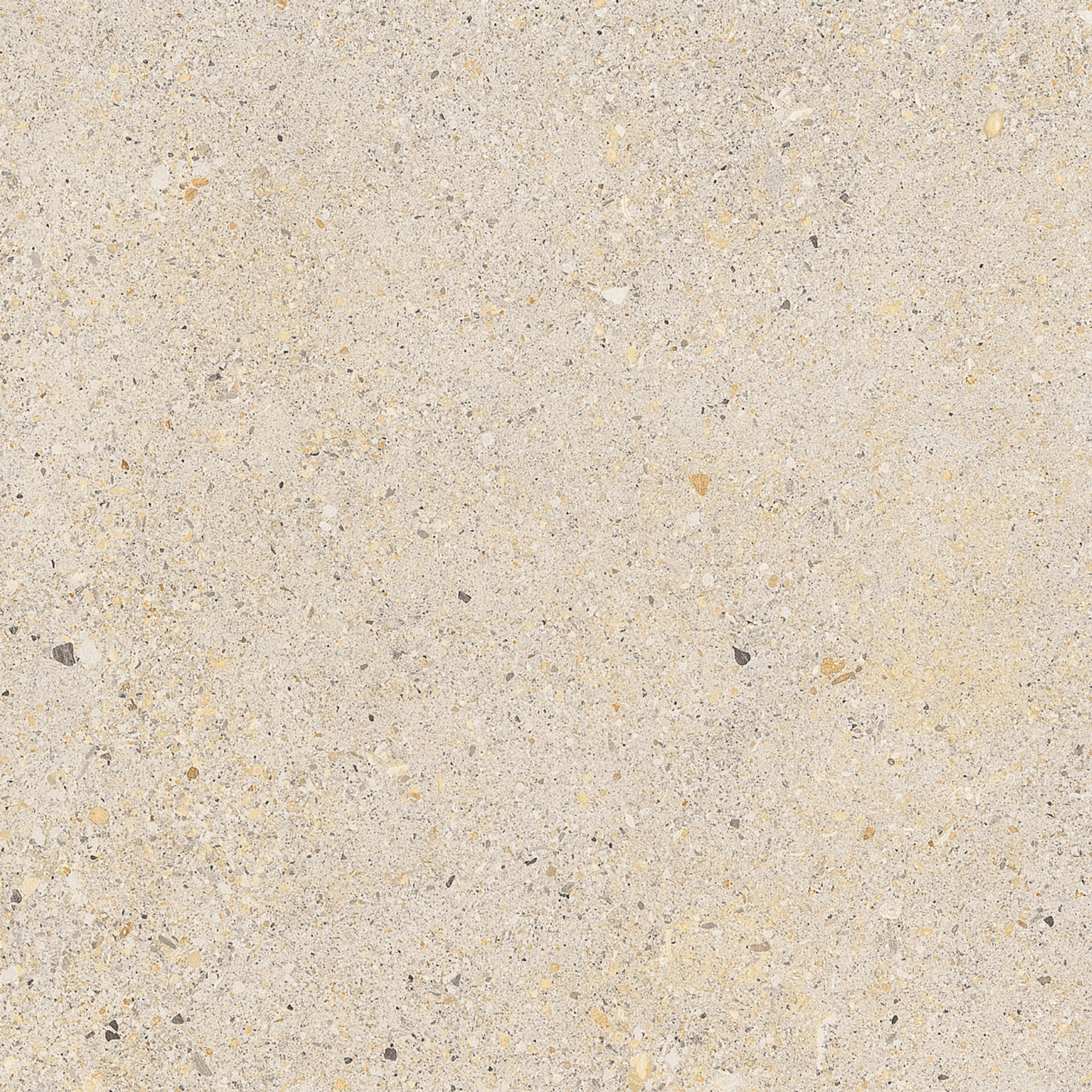 Gecko | Aggregate White Tiles
