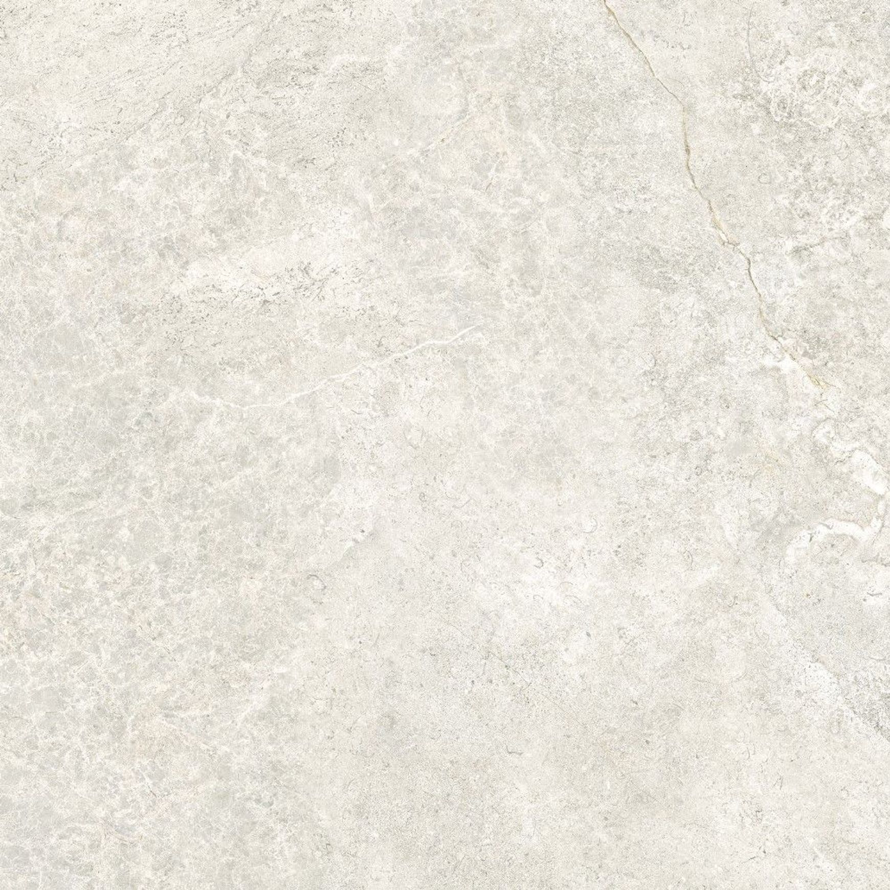 Arctic Tundra Ivory Matt 60