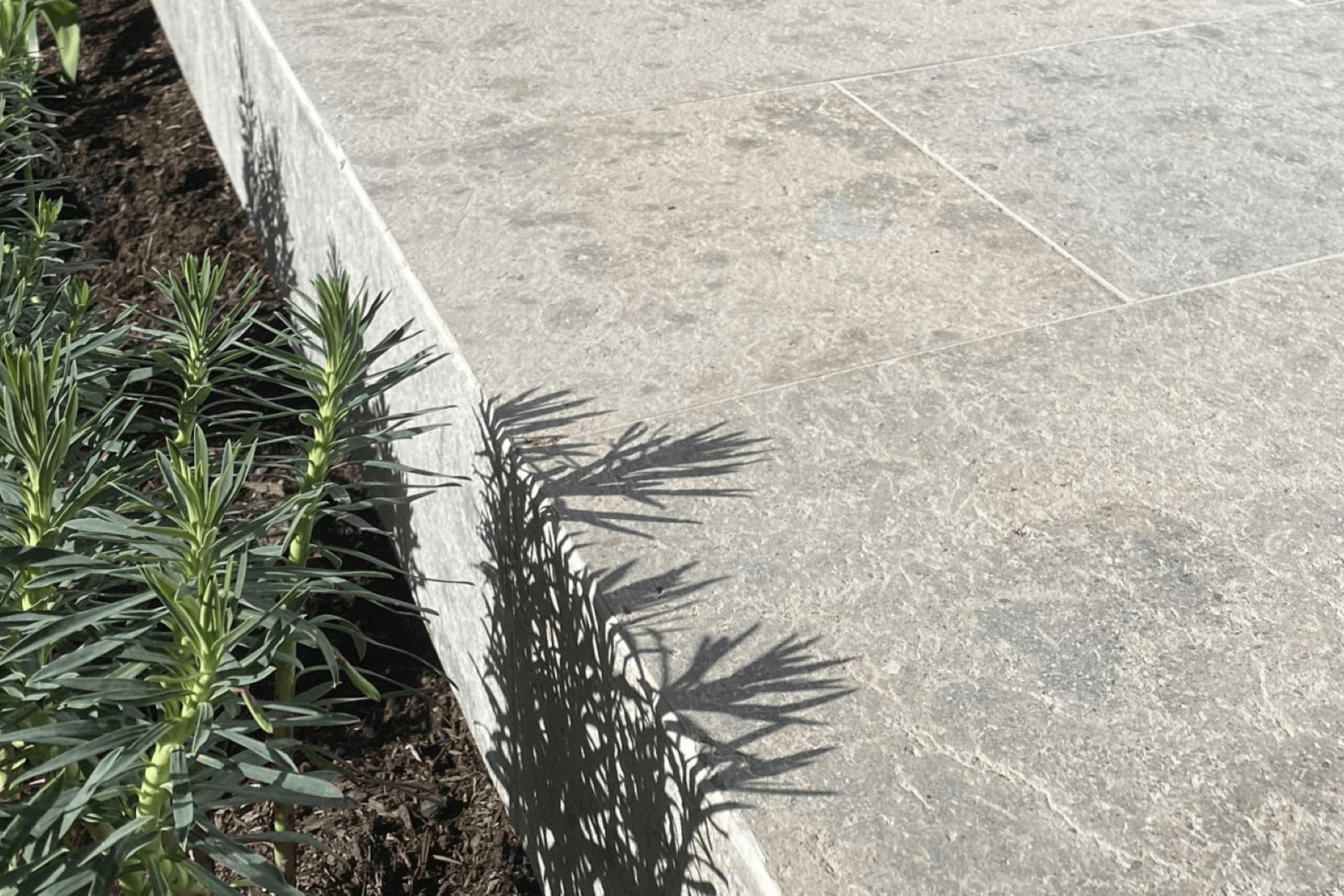 Marrakesh Limestone