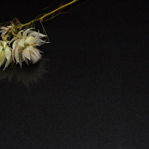 Quantum Zero | Midnight Black