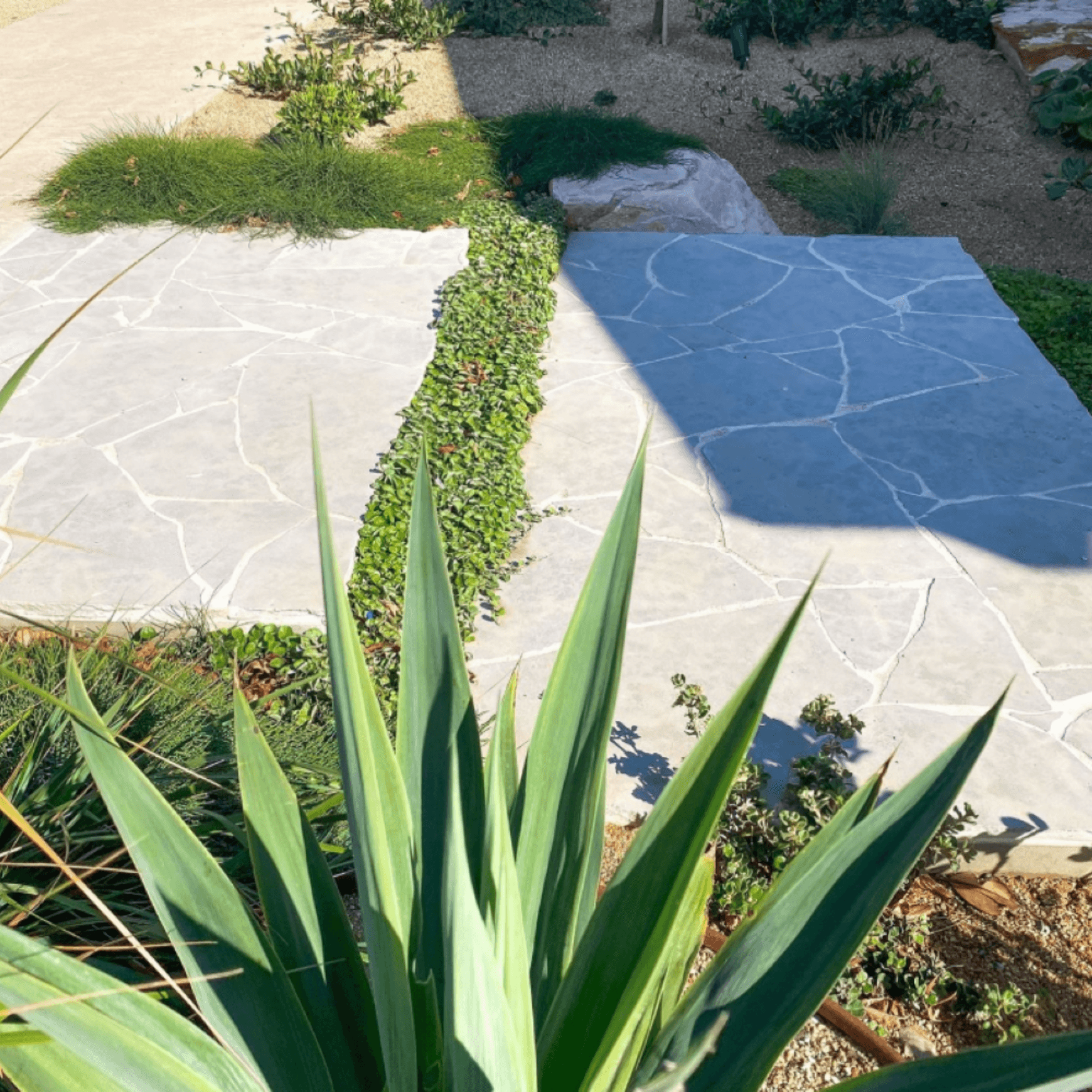 Monte Carlo Crazy Paving