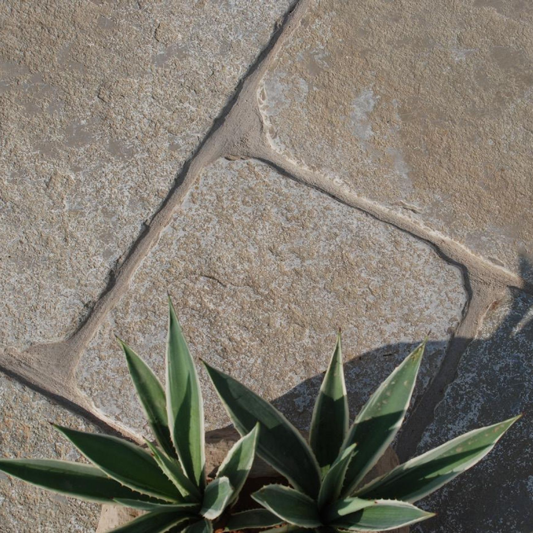 Windsor | Landscape Surfaces