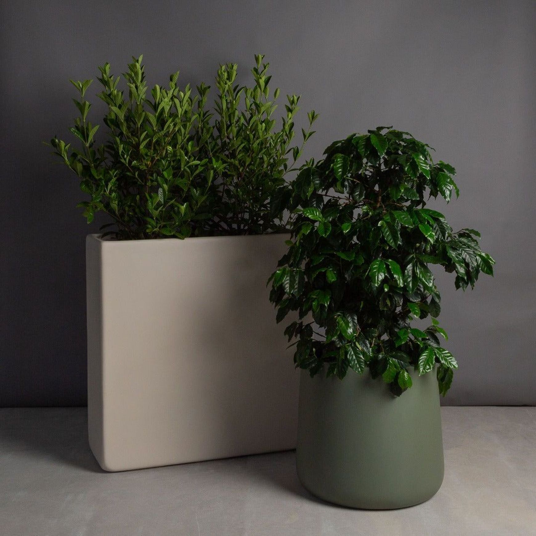 Hibernate 87 Degrees U Jar | Olea