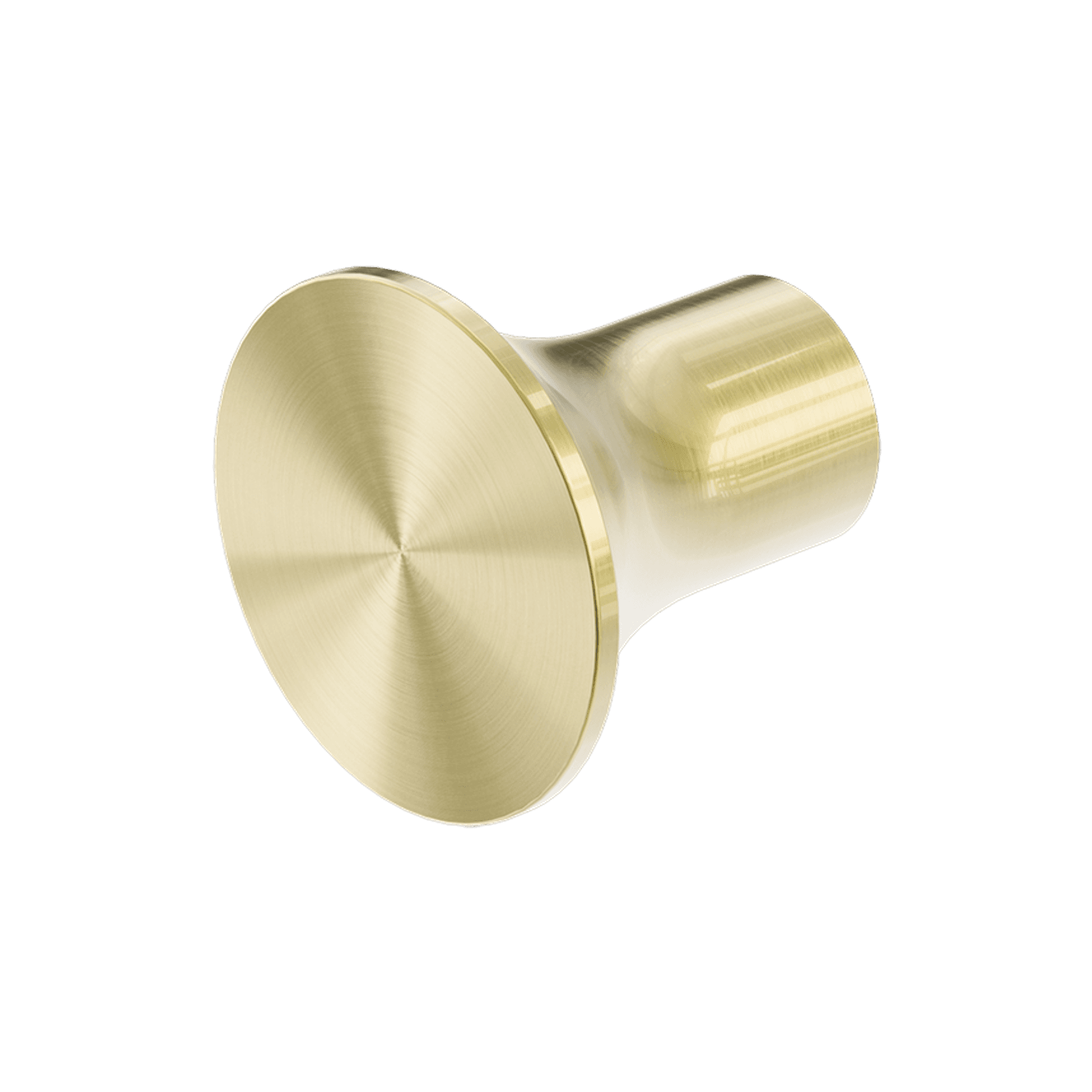 Zen SS316L Robe Hook | Brushed Gold