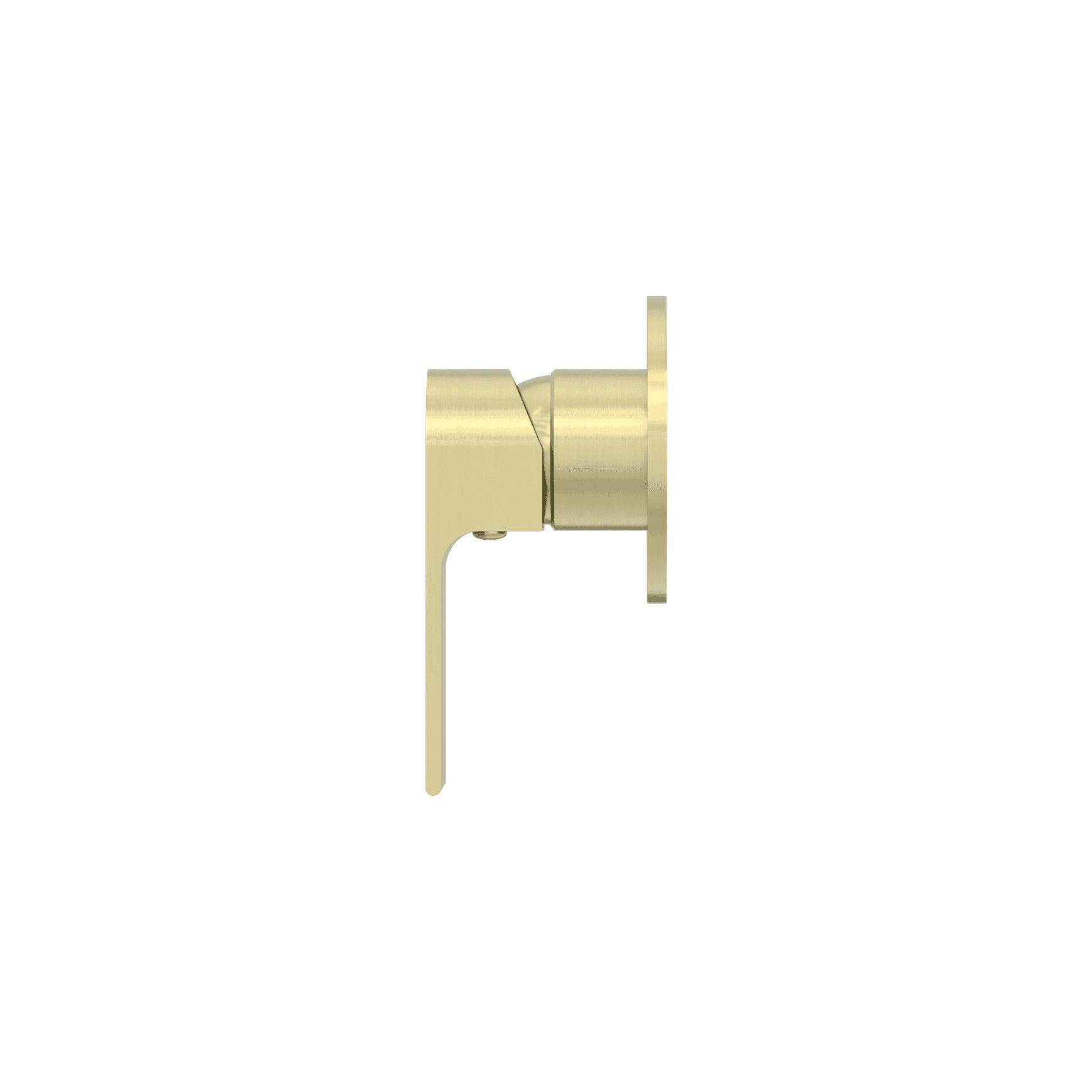 Bianca Shower Mixer 80mm Plate | Brushed Gold