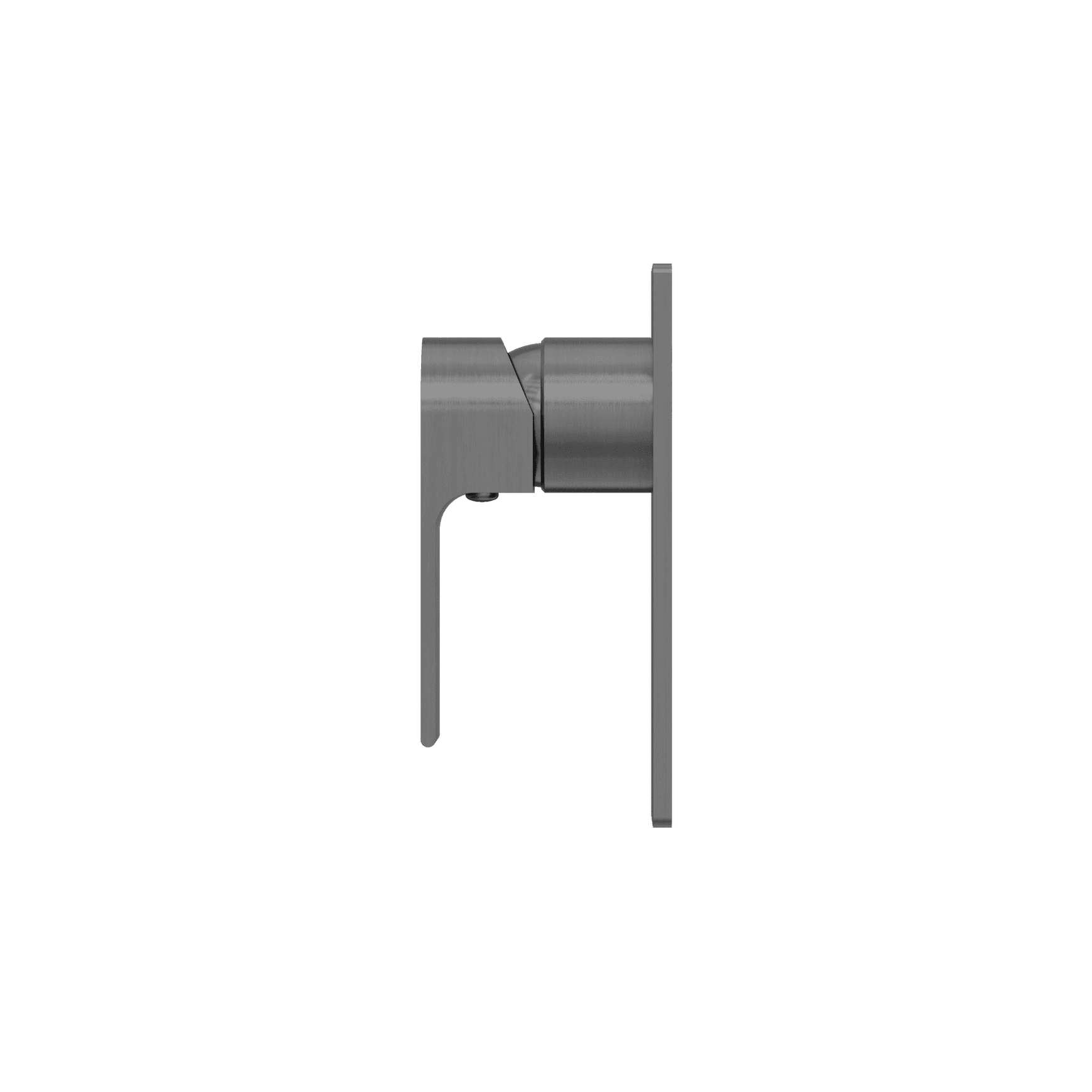 Bianca Shower Mixer | Gun Metal