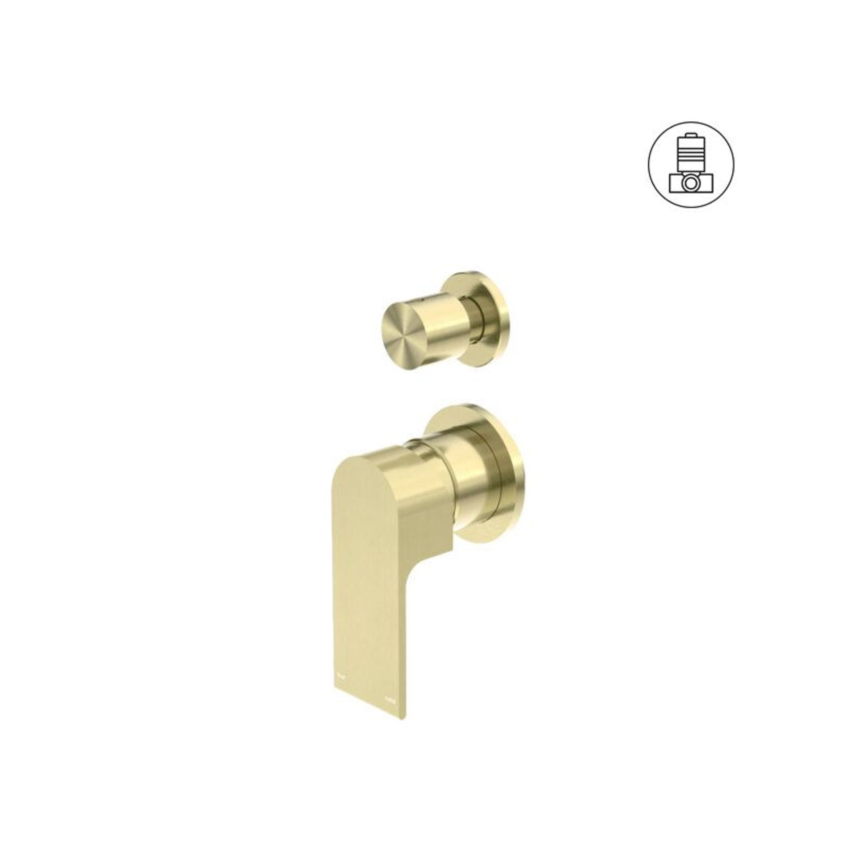 Bianca Shower Mixer & Divertor Back Plate | Brushed Gold