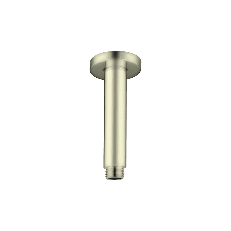 Round Ceiling Arm 100mm Length Brushed Gold