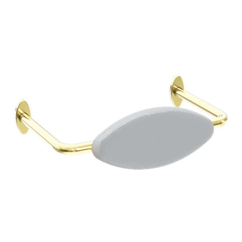 Mecca Care DDA Toilet Backrest Brushed Gold
