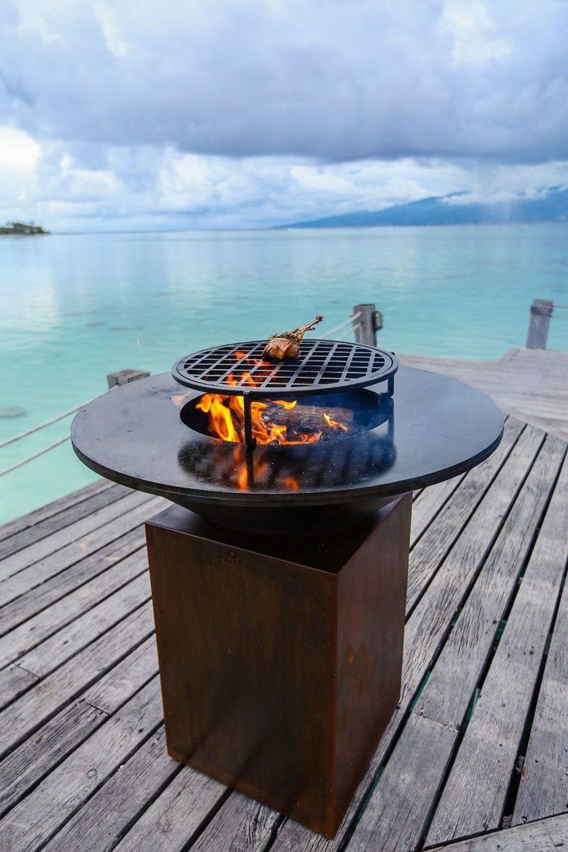OFYR Grill 100/100