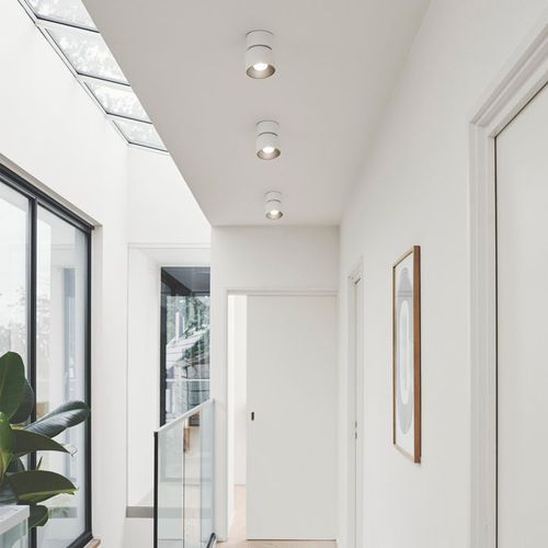 Pitcher Single Downlight