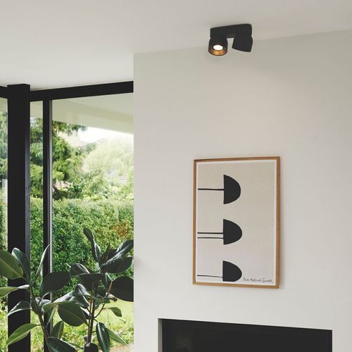 Pitcher 2-Spot Downlight