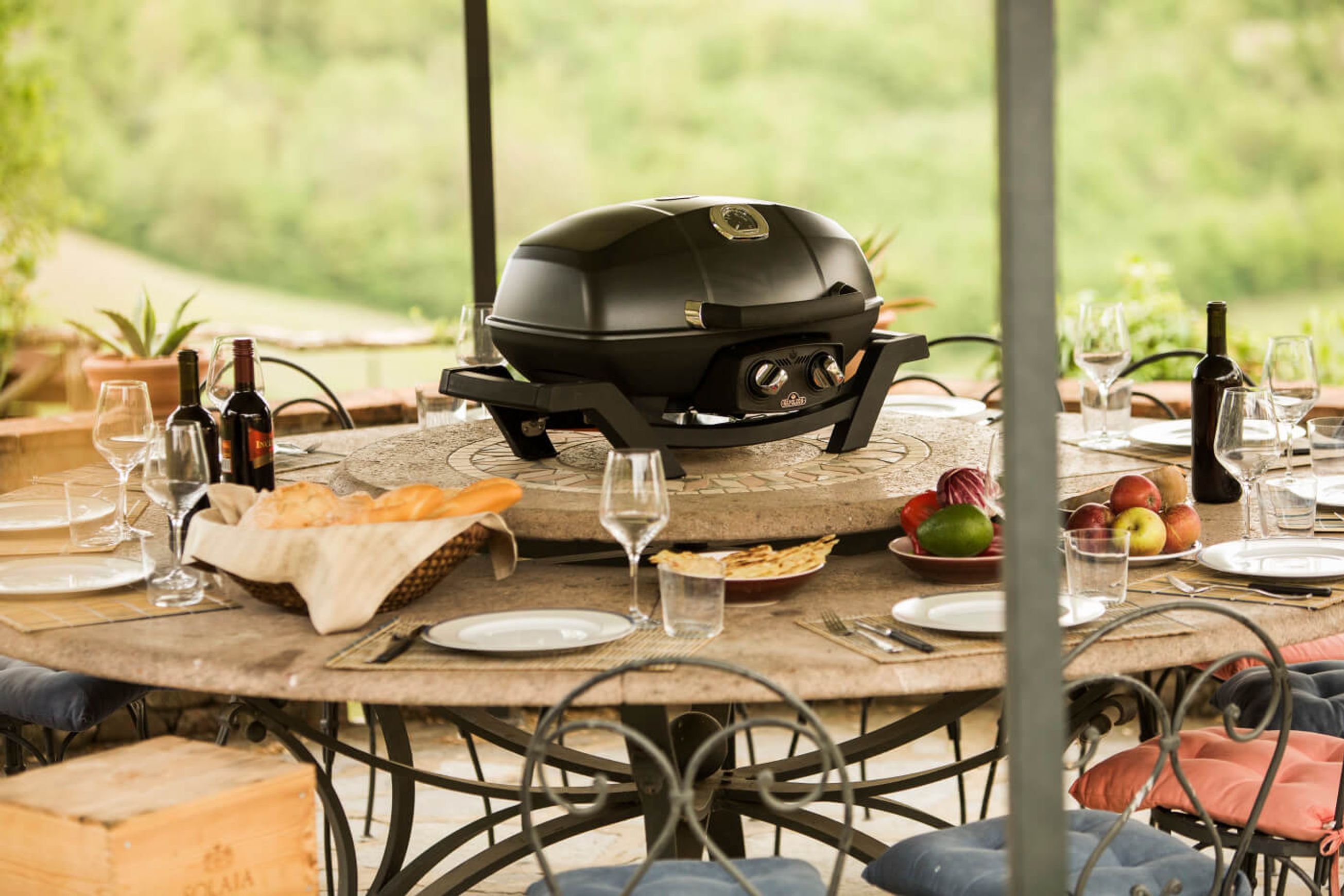 TravelQ™ PRO285, Propane