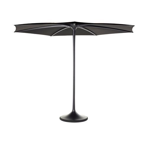 Palma Umbrella
