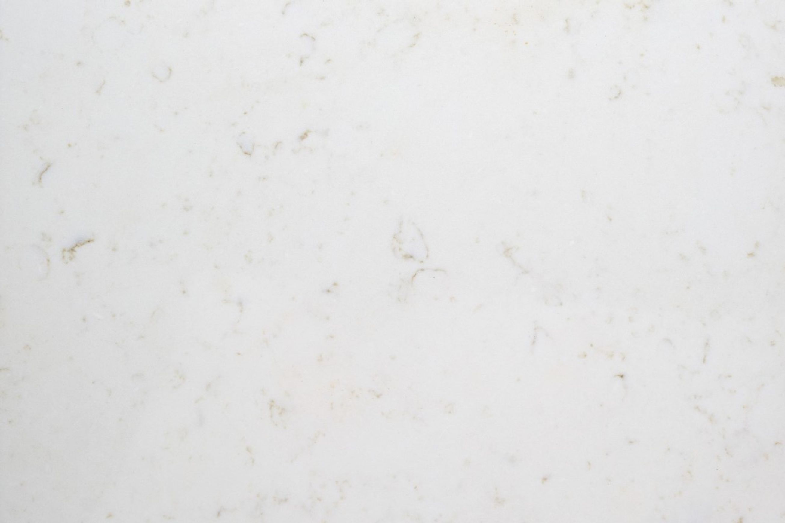Paloma Carrara | Quantum Zero | Deluxe