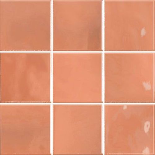 Rebel Coral Gloss 100x100mm