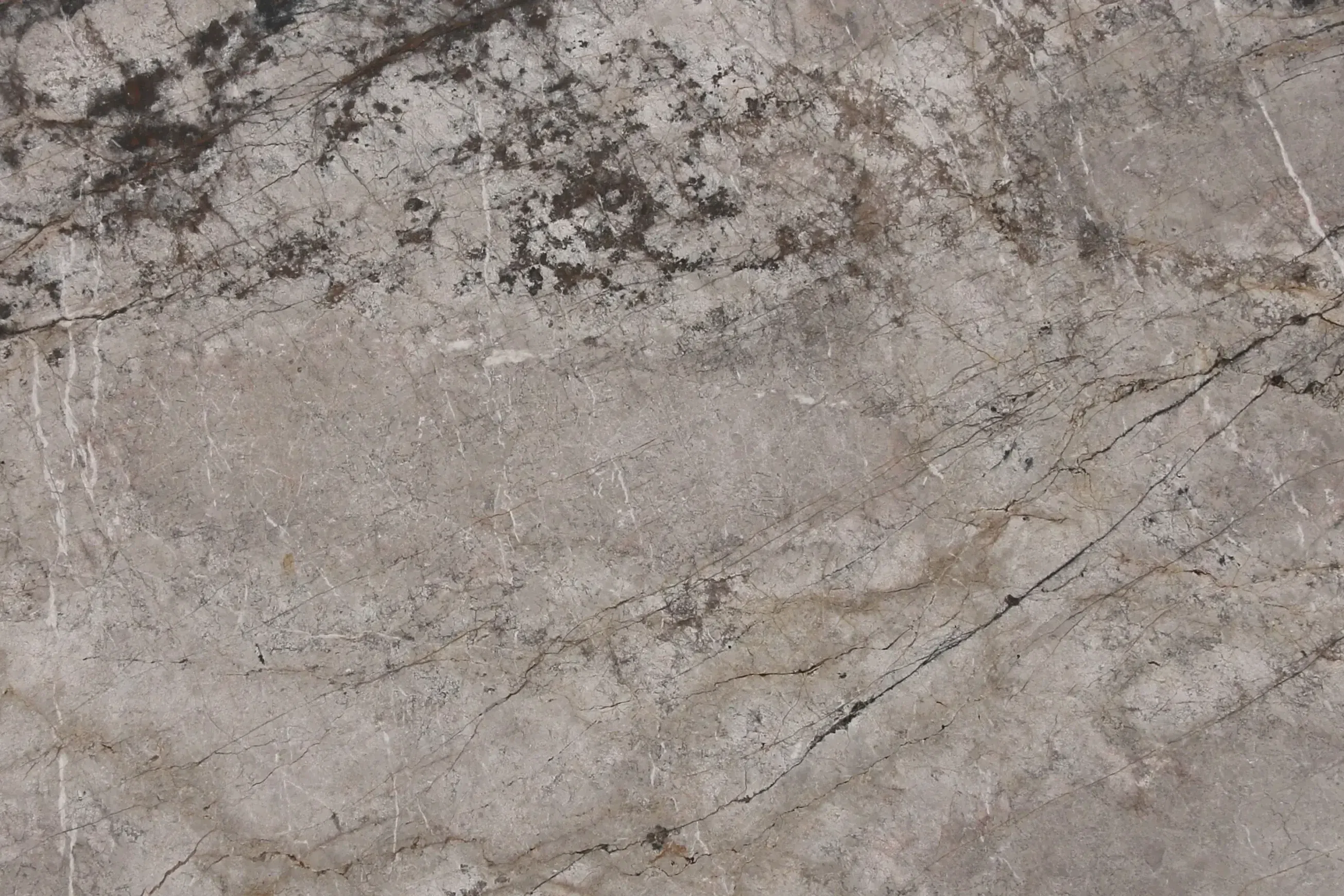 Silver Root Marble Benchtop