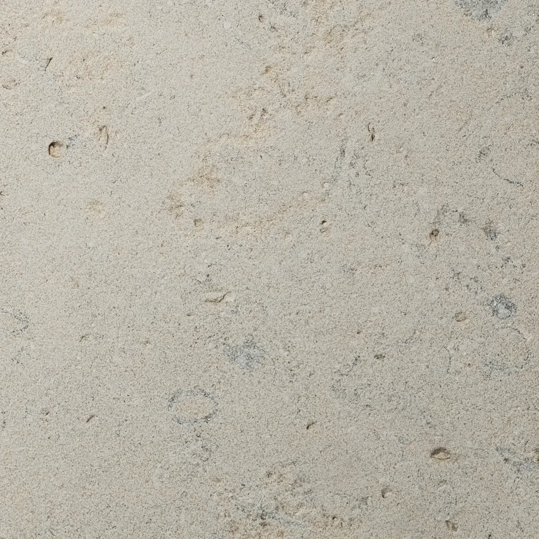 Sinai Pearl Sandblasted Limestone Porcelia