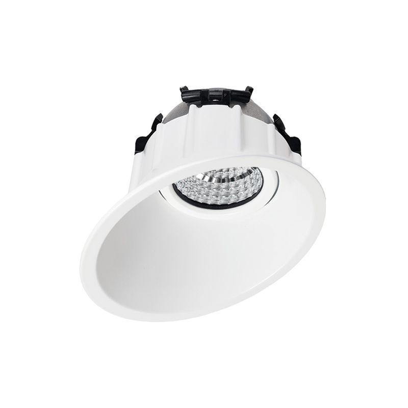 D-LIGHTZ Offset Deep Tilt Downlight