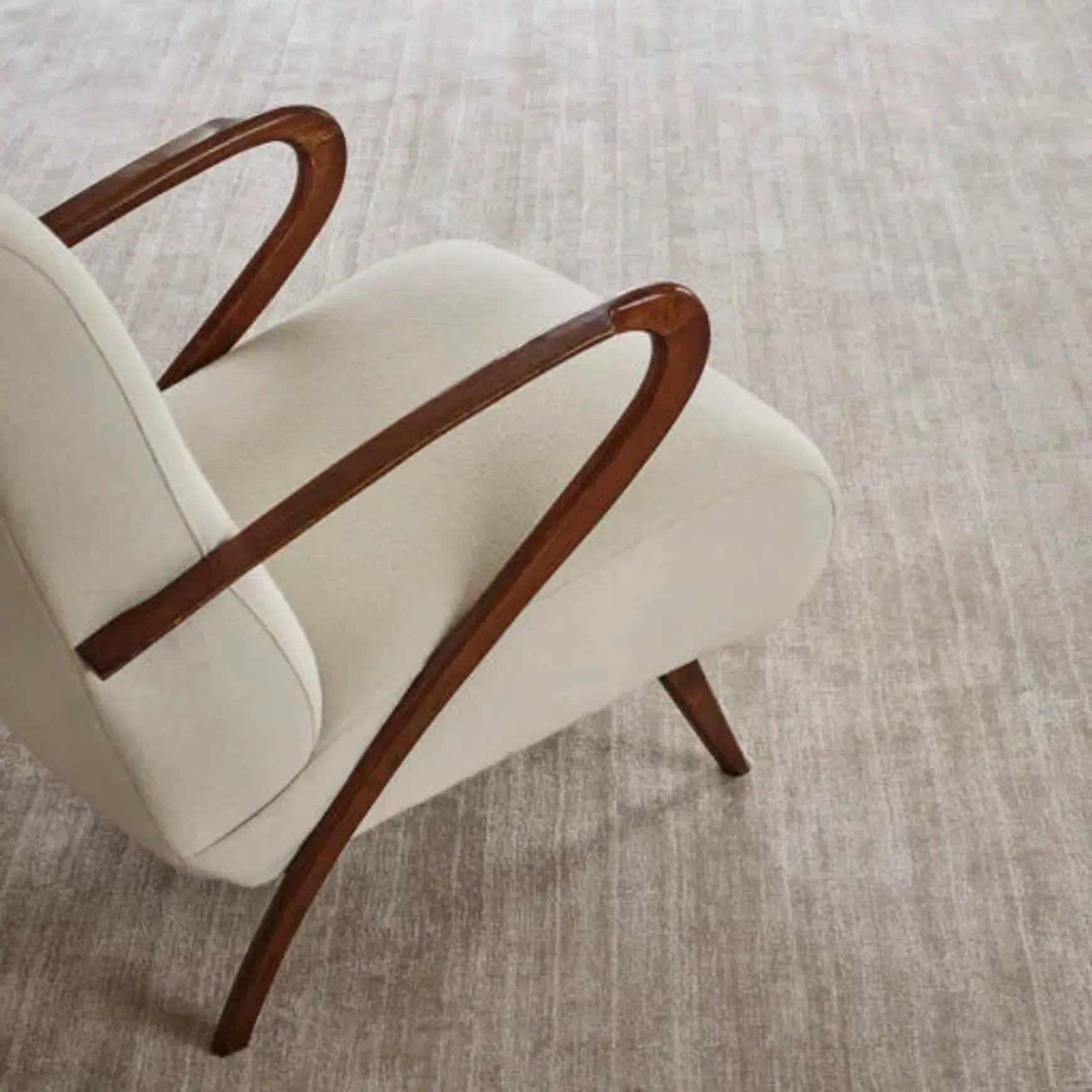 Santushi Rug