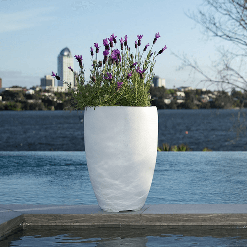Franoma - Tampa Planter