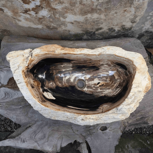 Petrified Wood Stone Basin