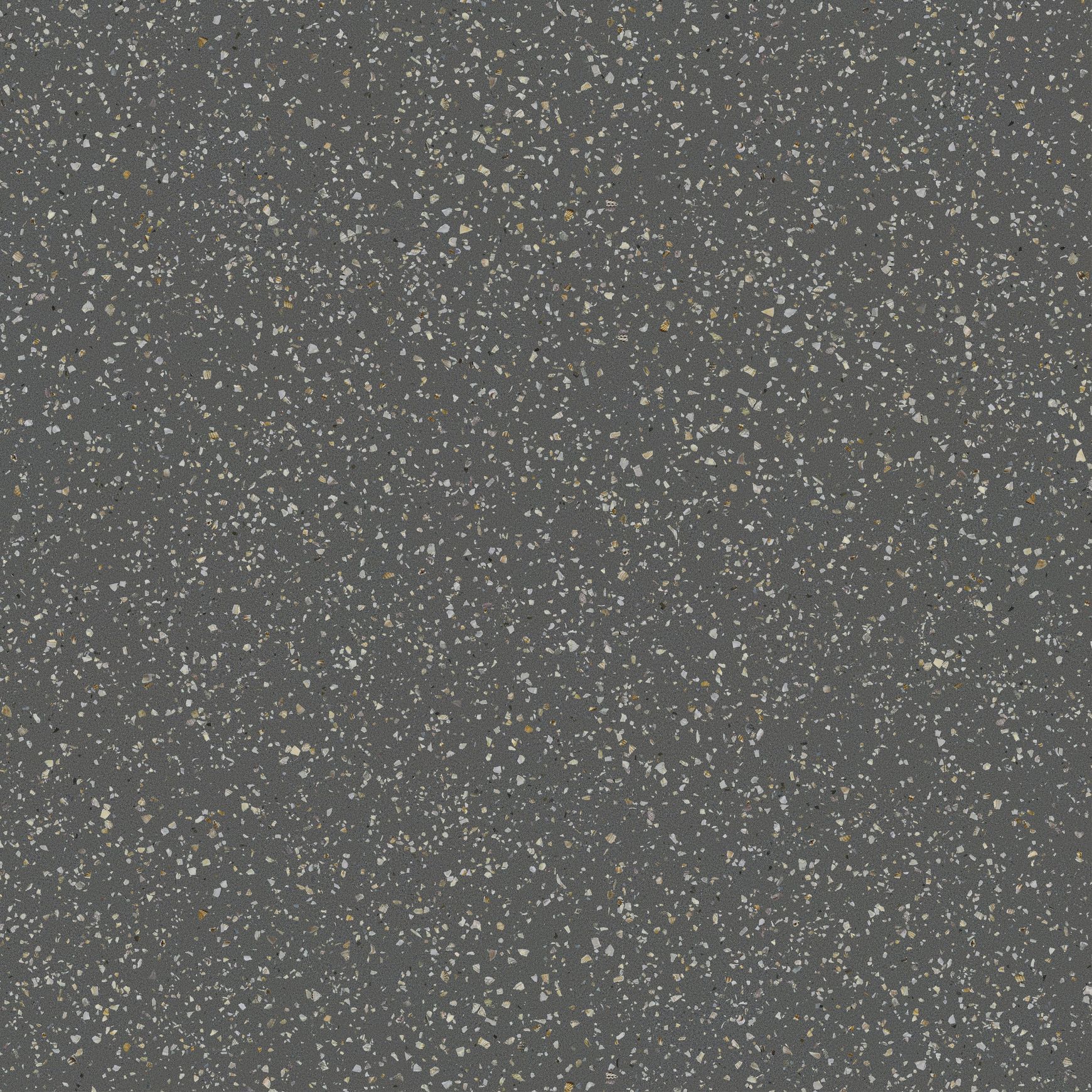 Shell Graphite 60x60