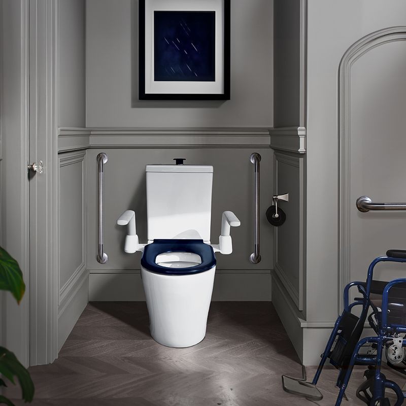 Sierra Back to Wall Toilet