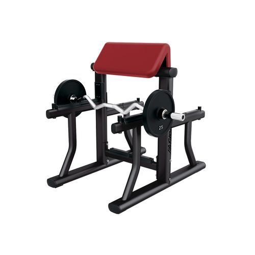 Signature | Arm Curl Bench