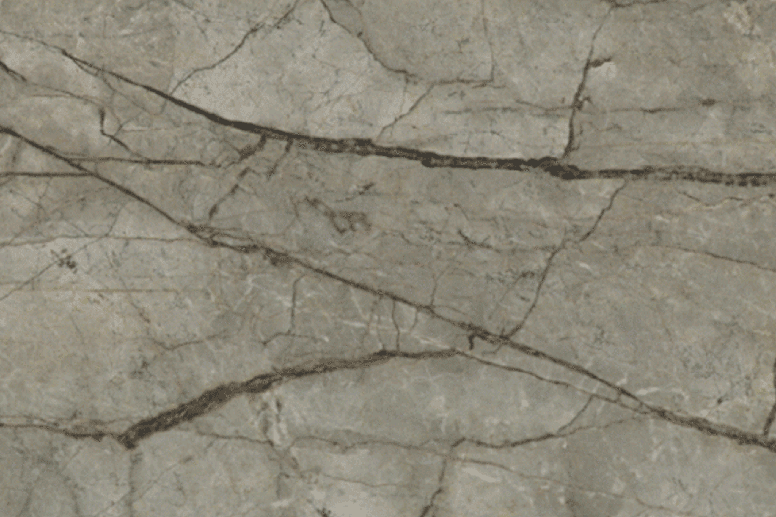 Silver River/Silver Roots