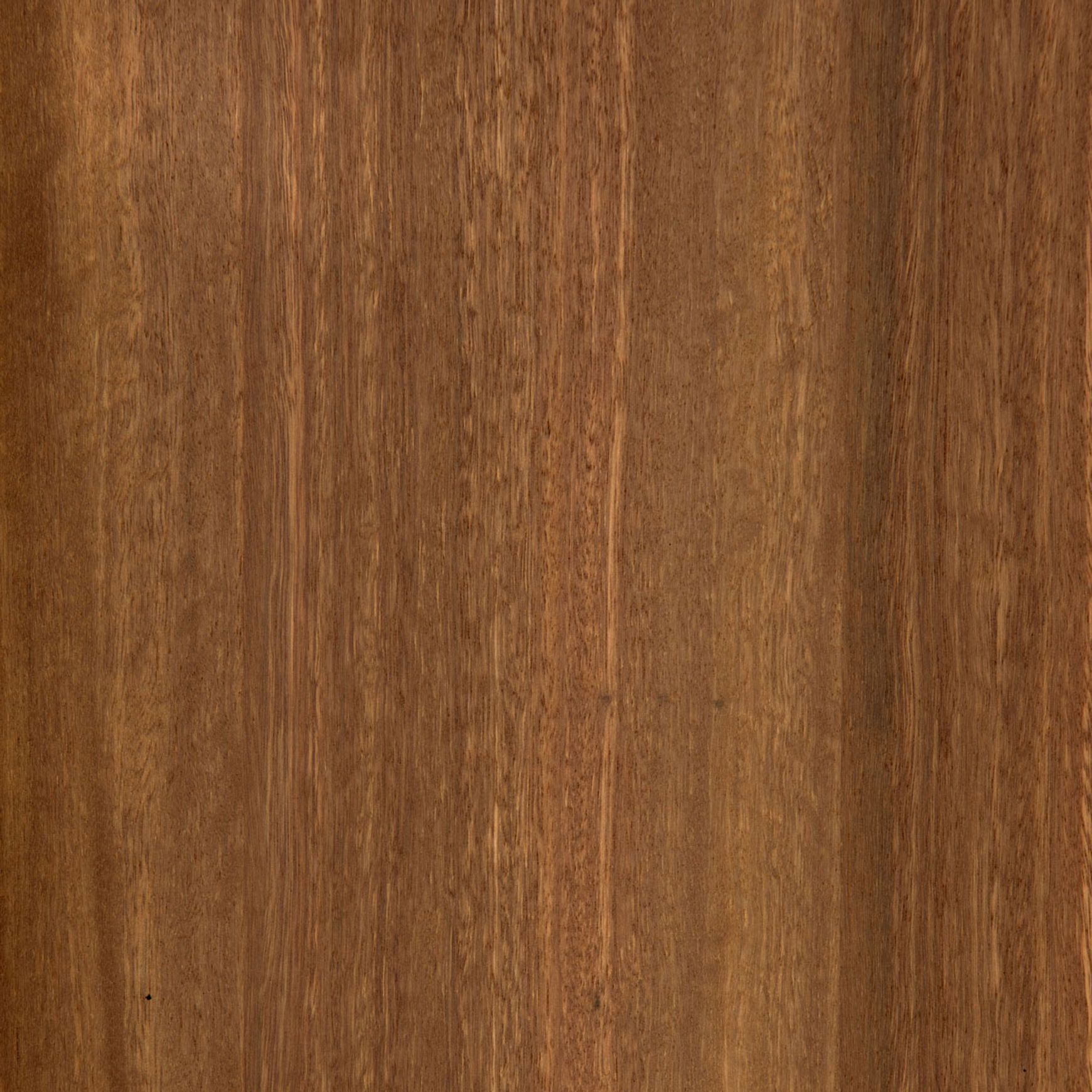 Spotted Gum | Clear | Lignapal Panels